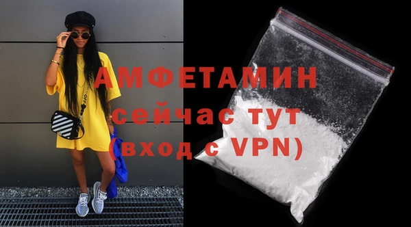 прущие грибы Медногорск