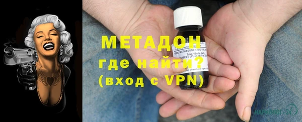 прущие грибы Медногорск