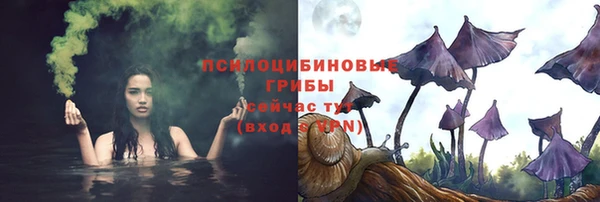 прущие грибы Медногорск