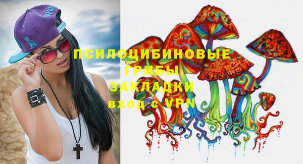 прущая мука Михайлов