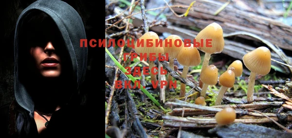 прущая мука Михайлов