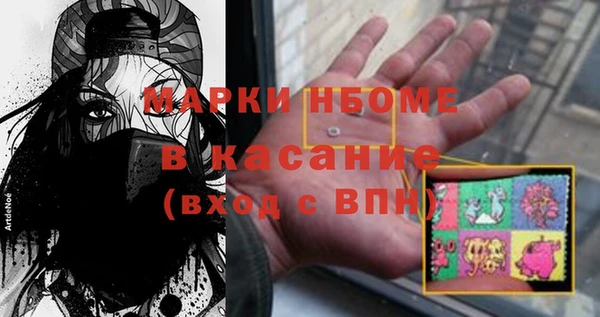 прущие грибы Медногорск