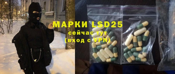 прущие грибы Медногорск