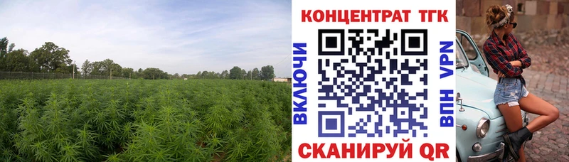 ТГК концентрат  Сергач 