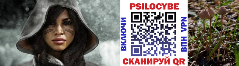 Галлюциногенные грибы Psilocybe  купить   Сергач 