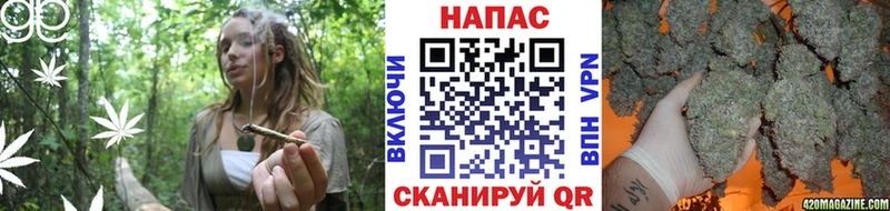 как найти закладки  Сергач  Каннабис планчик 